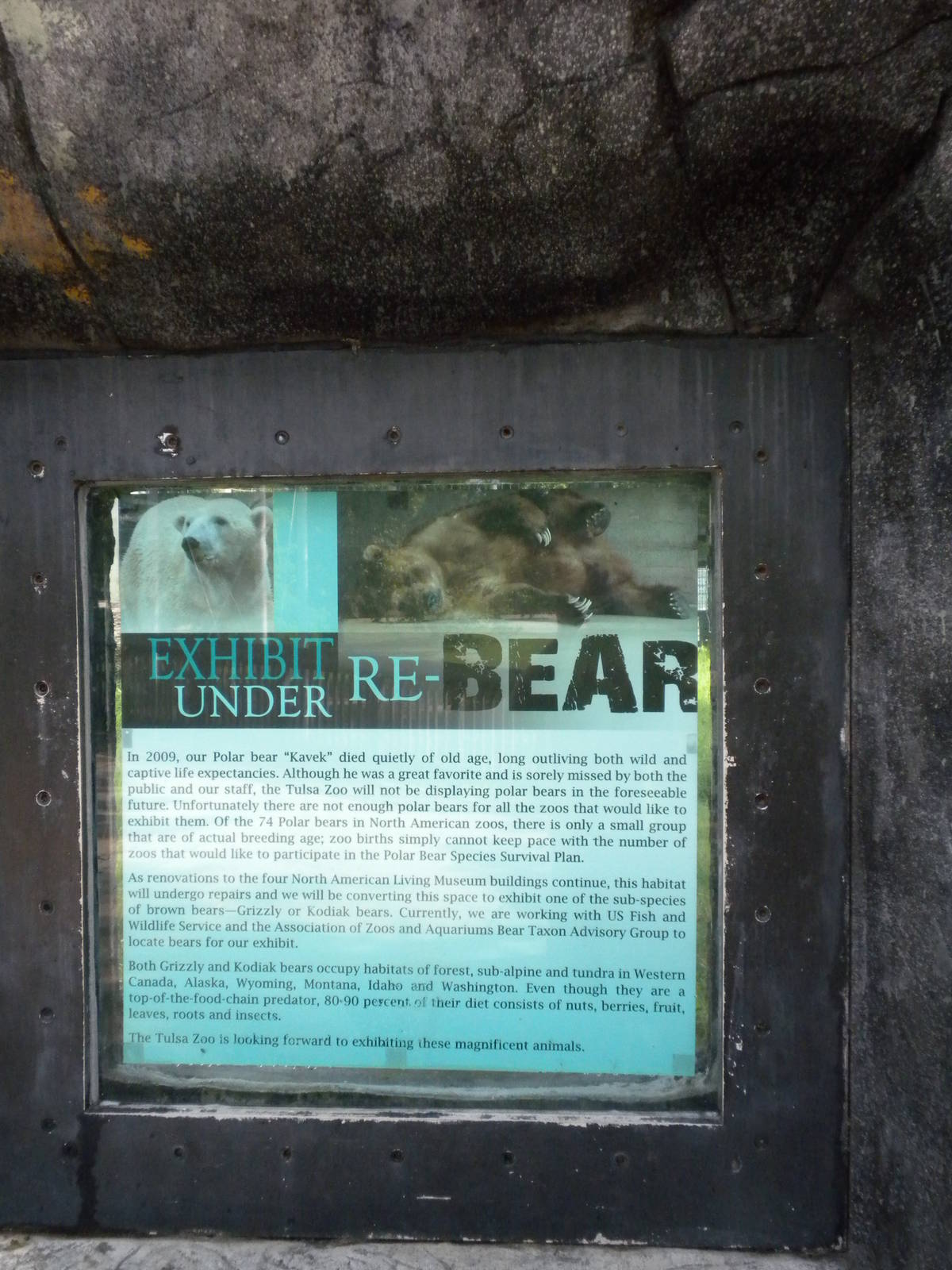 North American Living Museum - Polar Bear sign