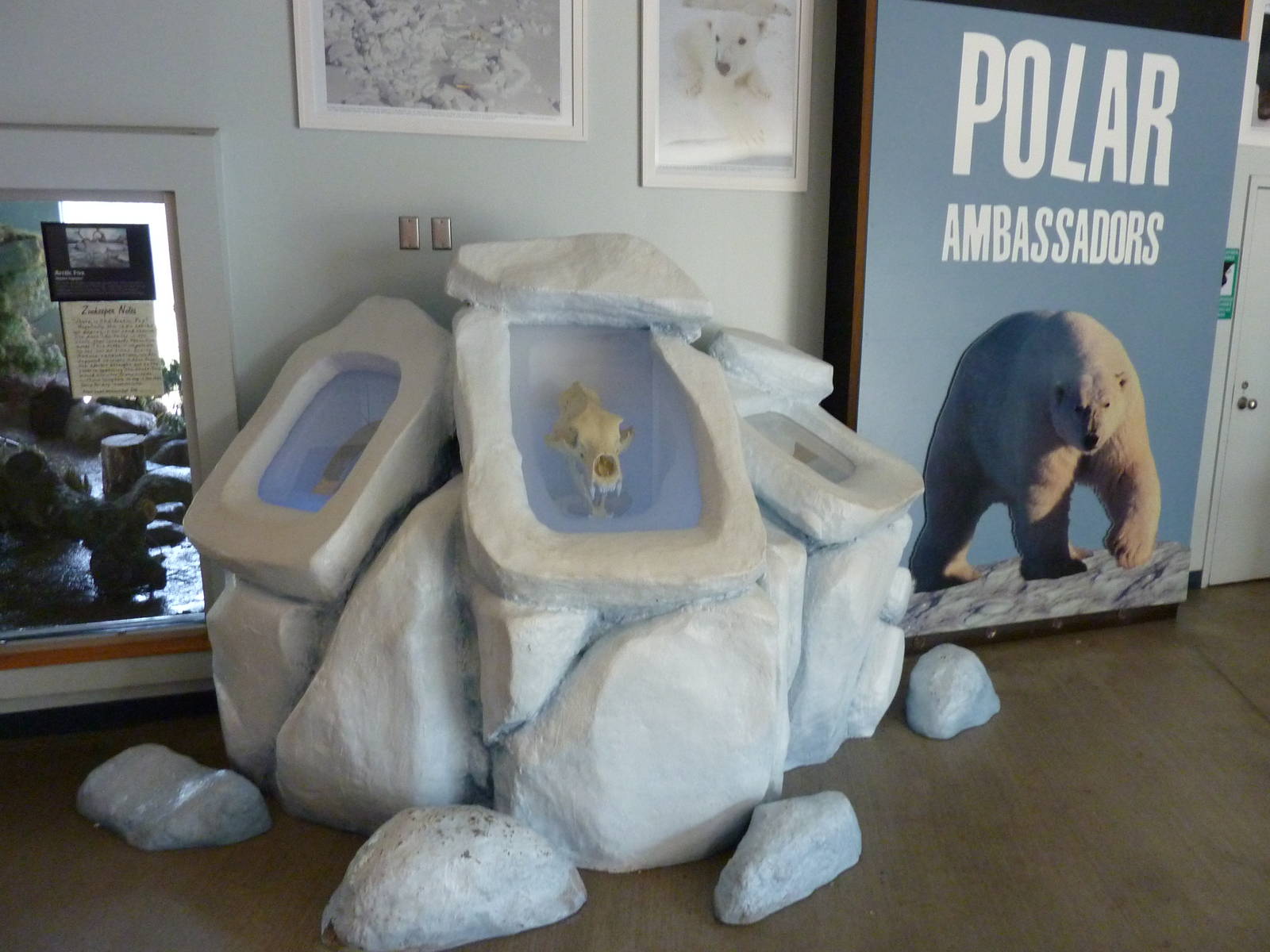 North American Living Museum -Polar Bear Signage