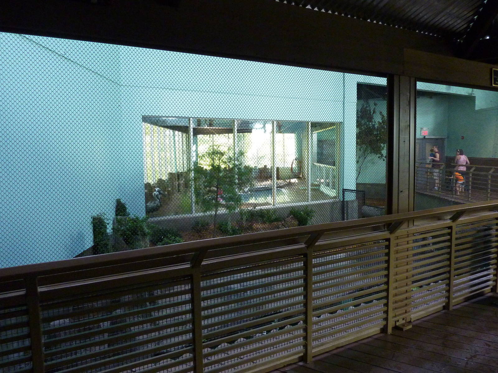 North American Living Museum - Southern Lowlands - Cypress Swamp