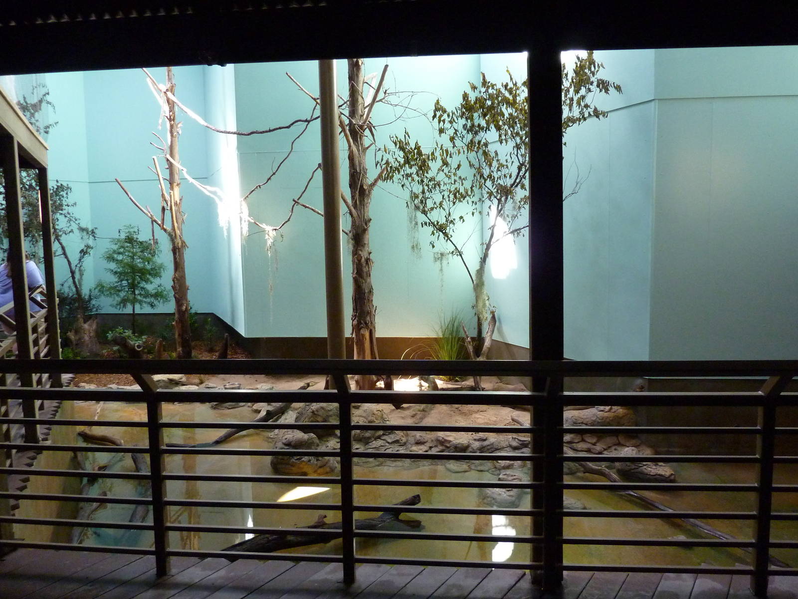 North American Living Museum - Southern Lowlands - Cypress Swamp