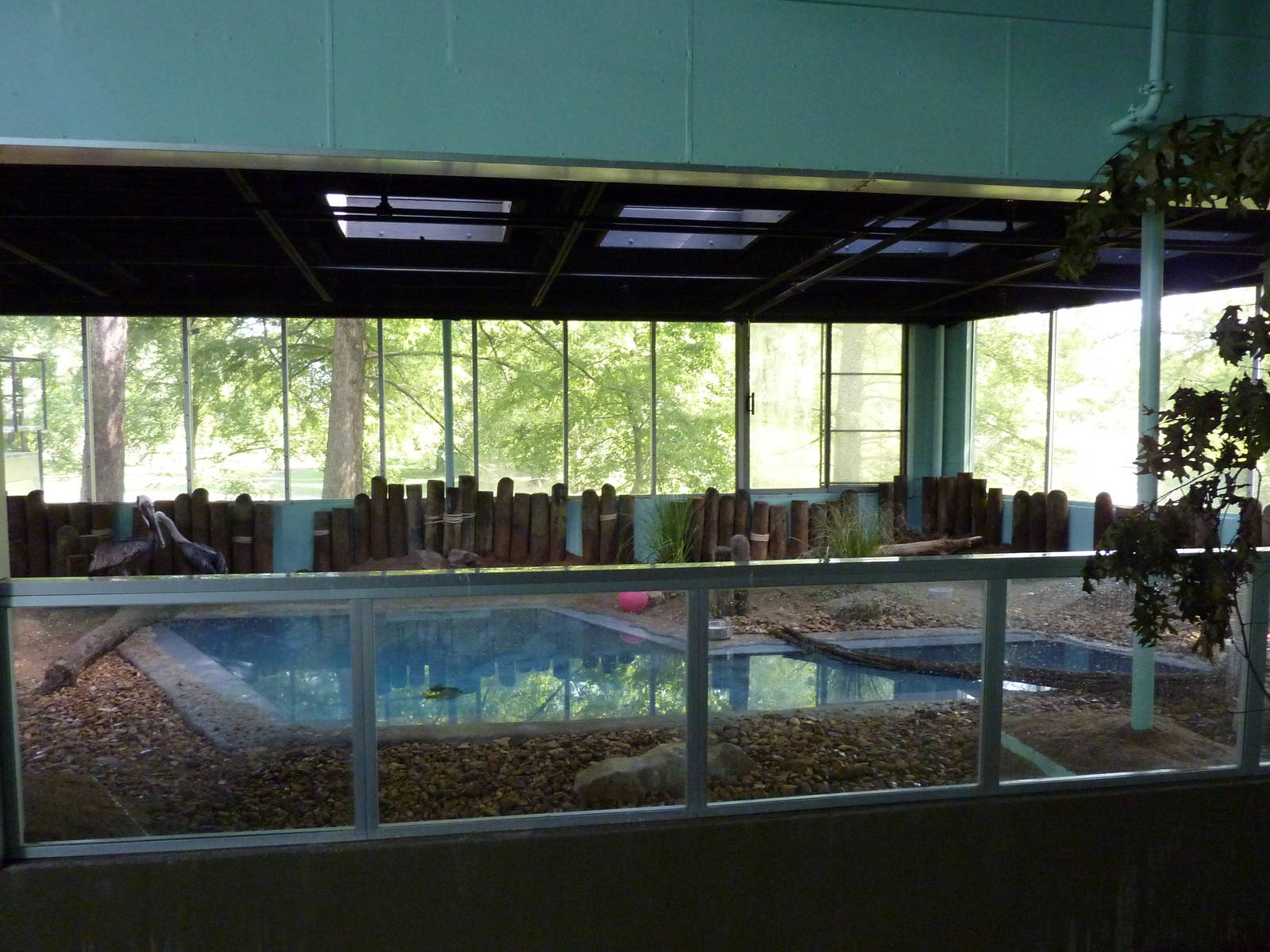 North American Living Museum - Southern Lowlands - Cypress Swamp