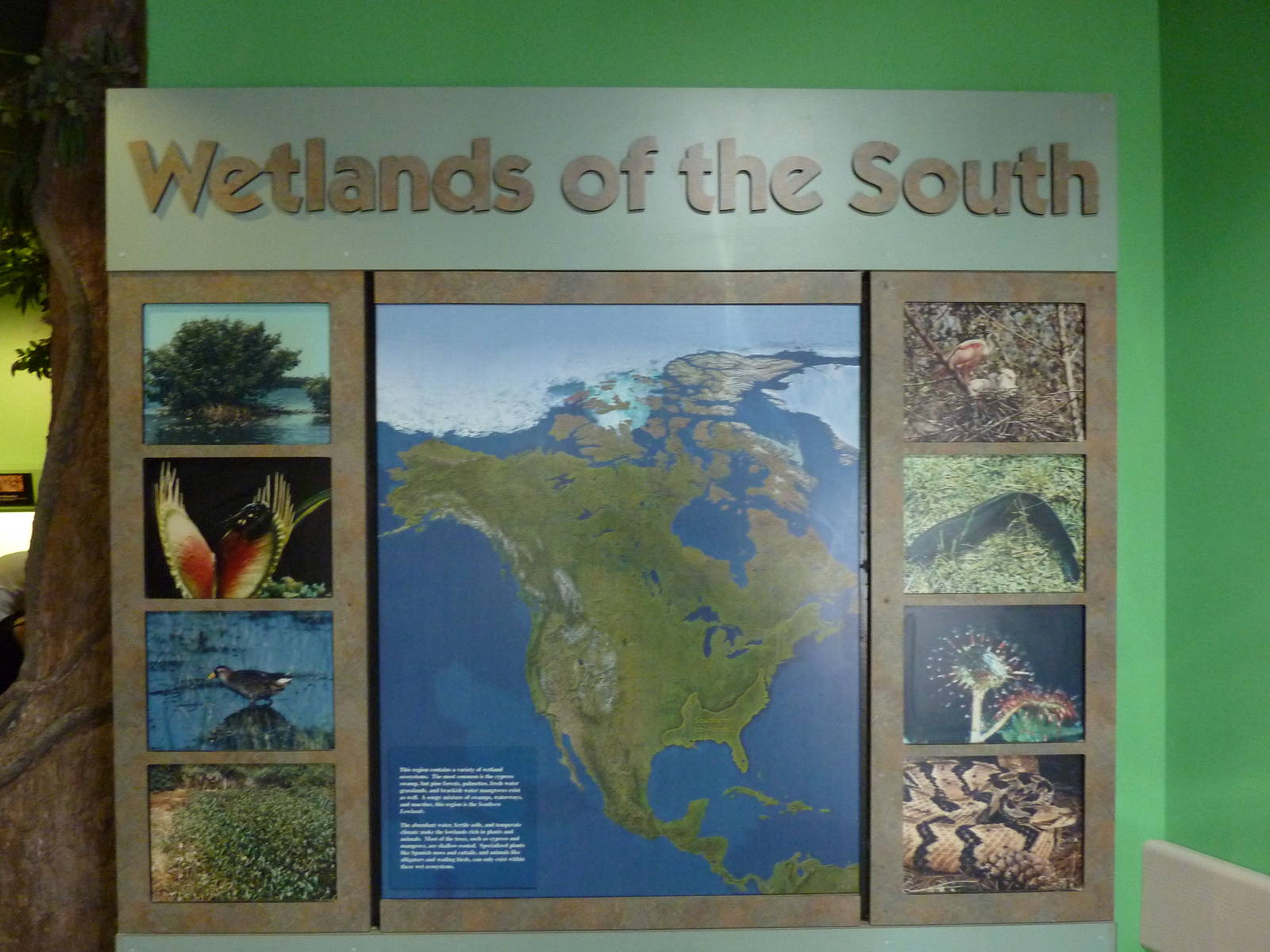 North American Living Museum - Southern Lowlands - Signage