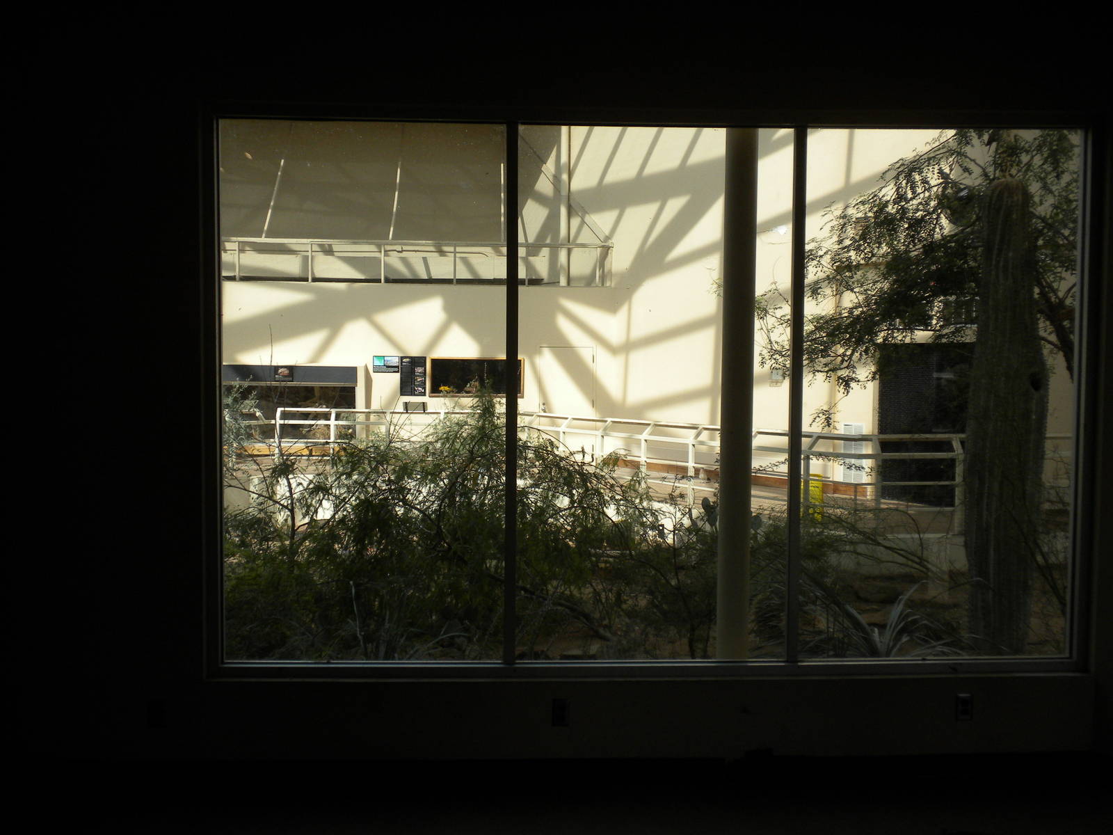 North American Living Museum - Southwest Desert