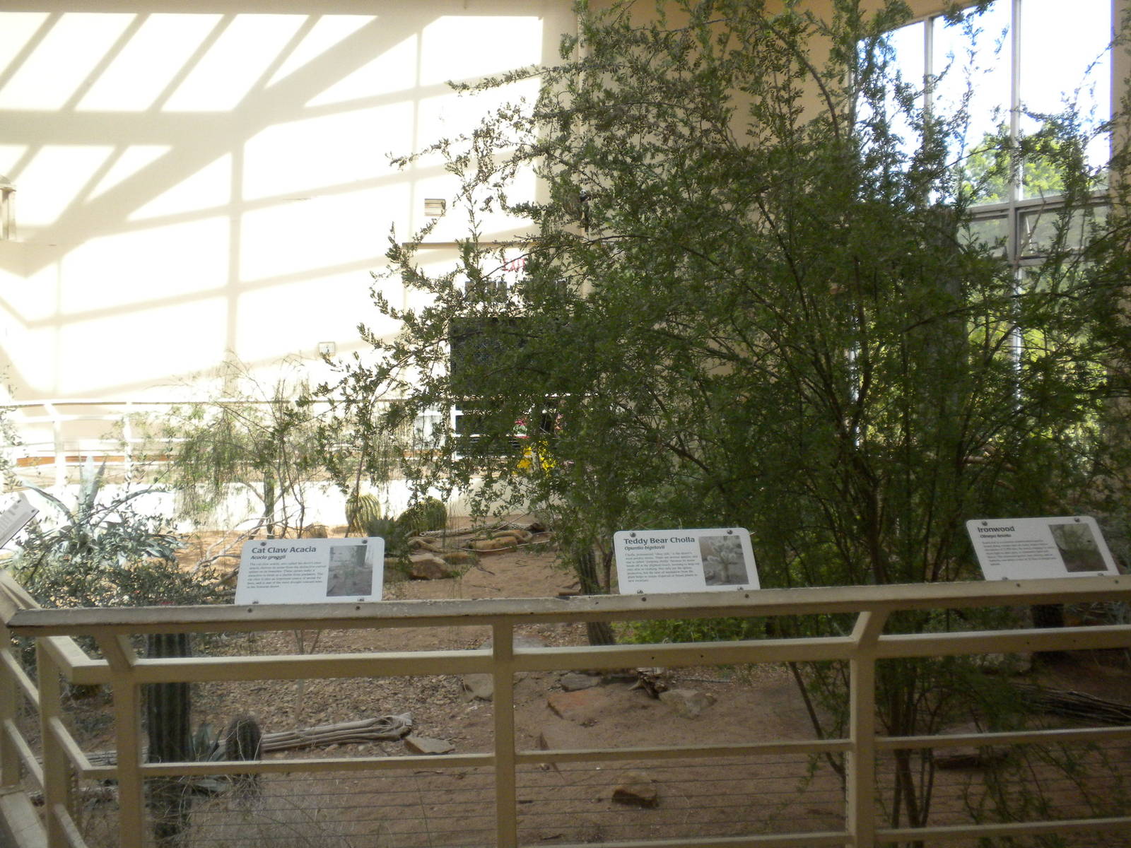 North American Living Museum - Southwest Desert