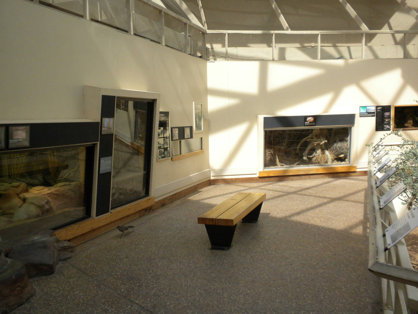 North American Living Museum - Southwest Desert