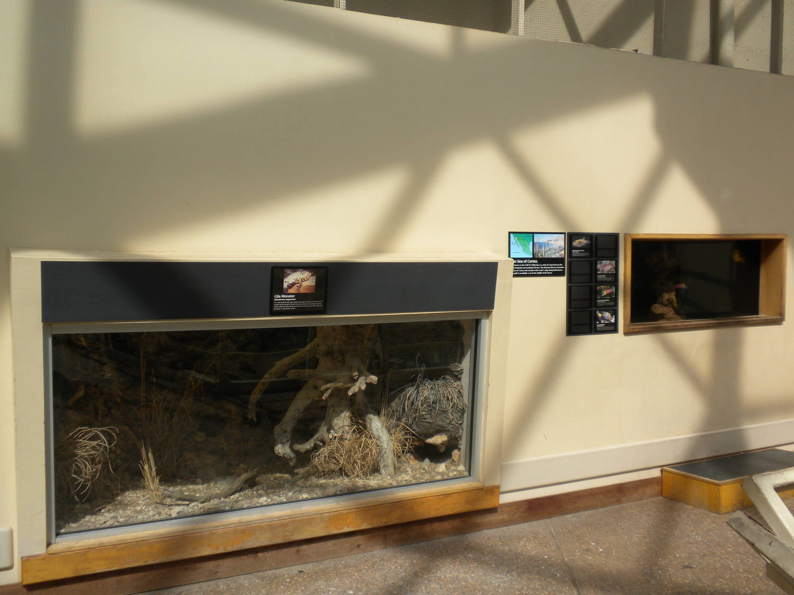 North American Living Museum - Southwest Desert