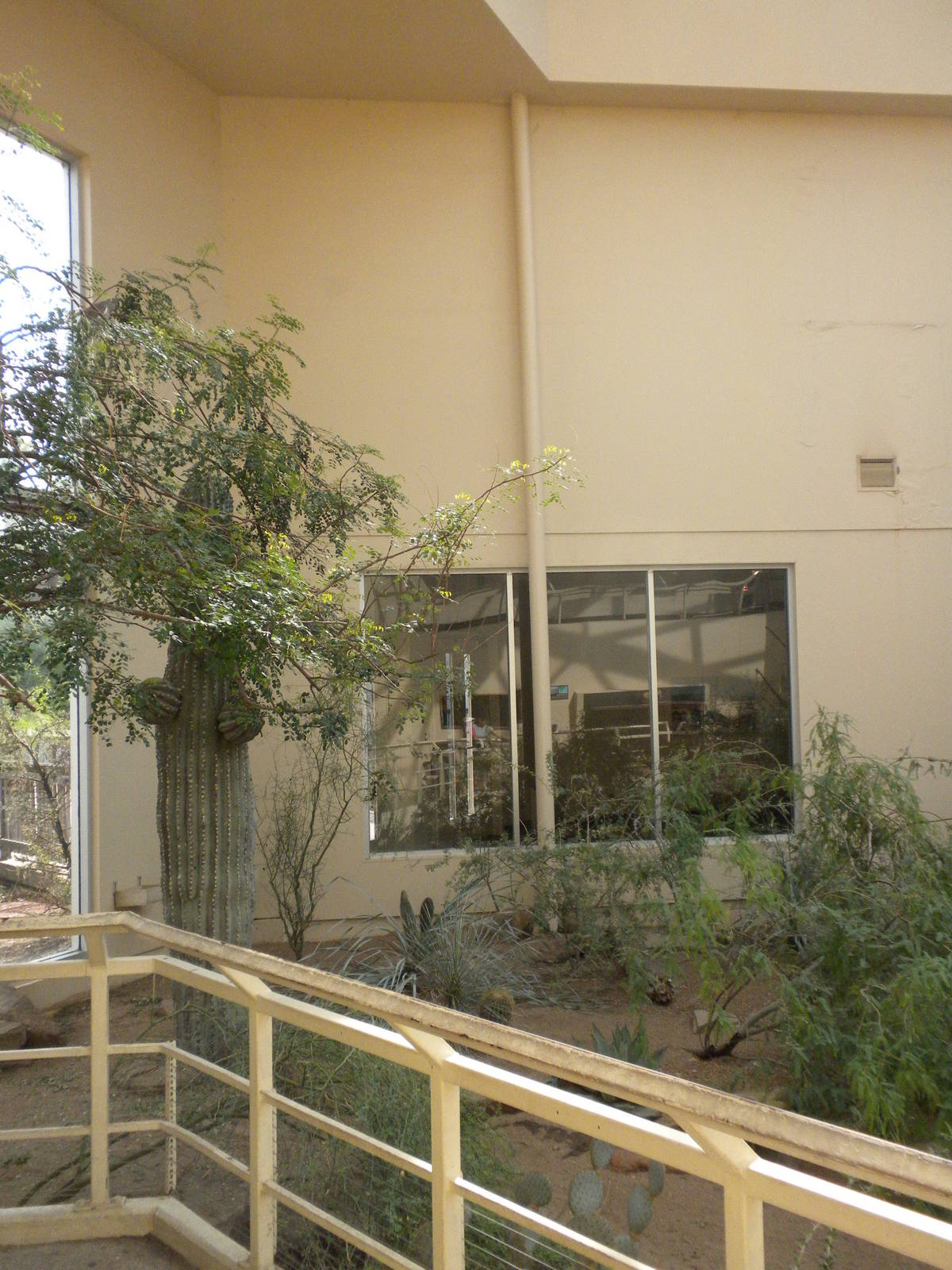 North American Living Museum - Southwest Desert