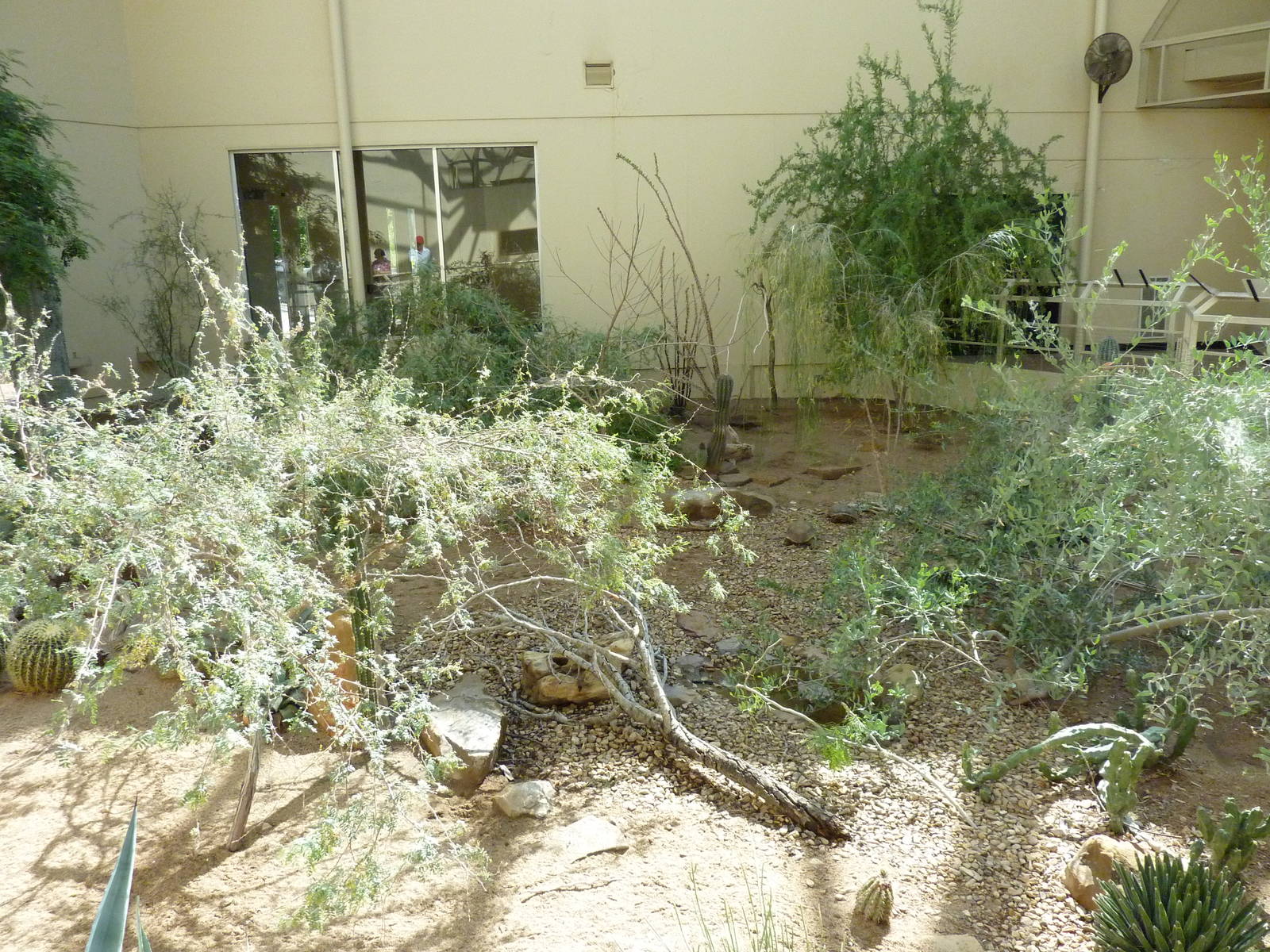 North American Living Museum - Southwest Desert