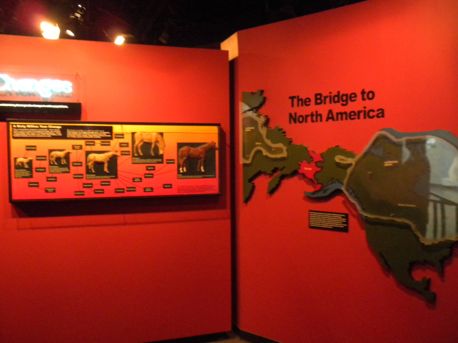 North American Living Museum - Time gallery