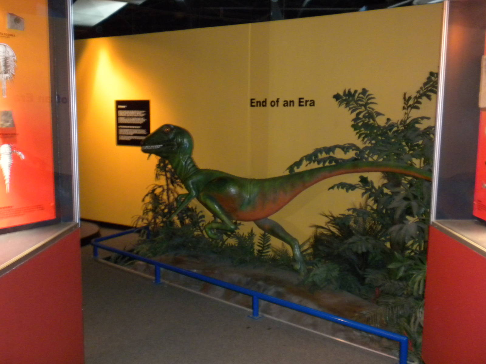 North American Living Museum - Time Gallery