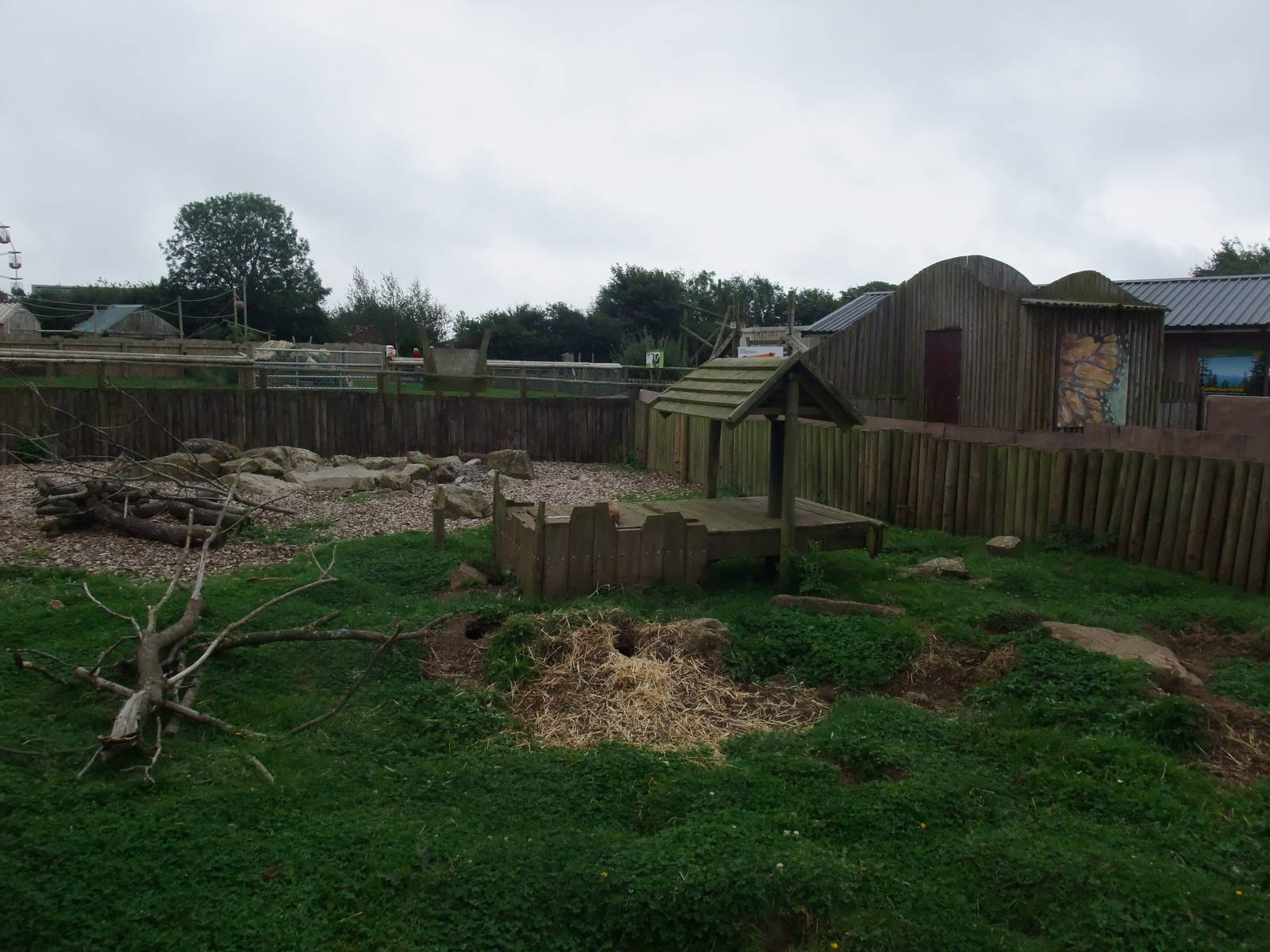 North American Mixed Exhibit at Folly Farm, 01/08/11