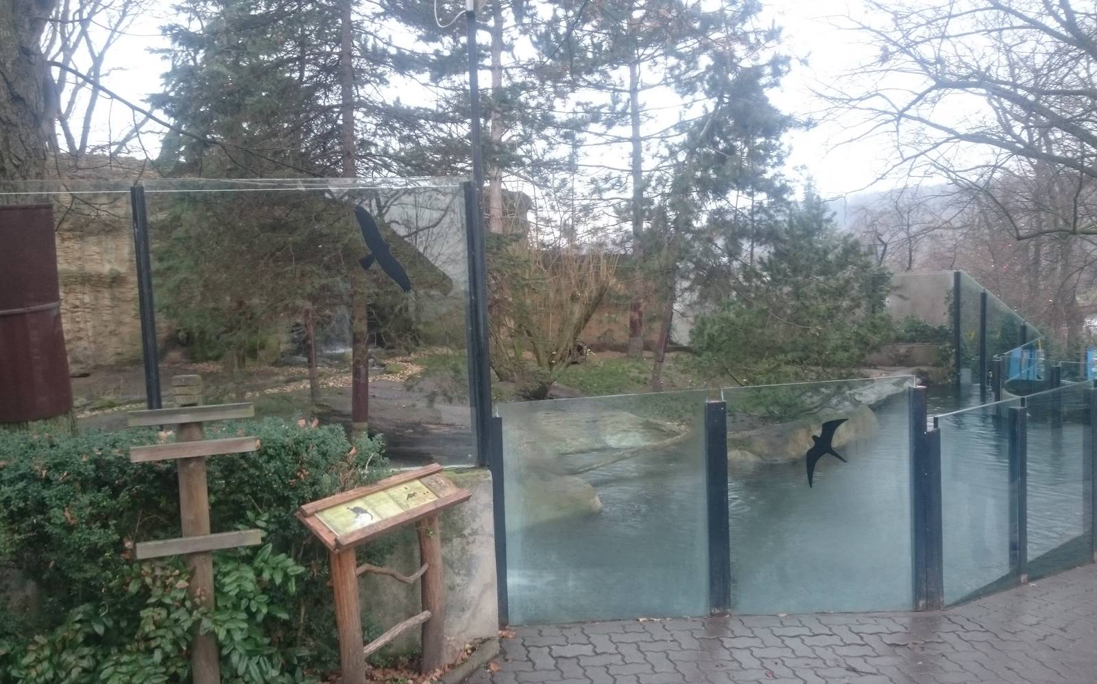 North American otter enclosure