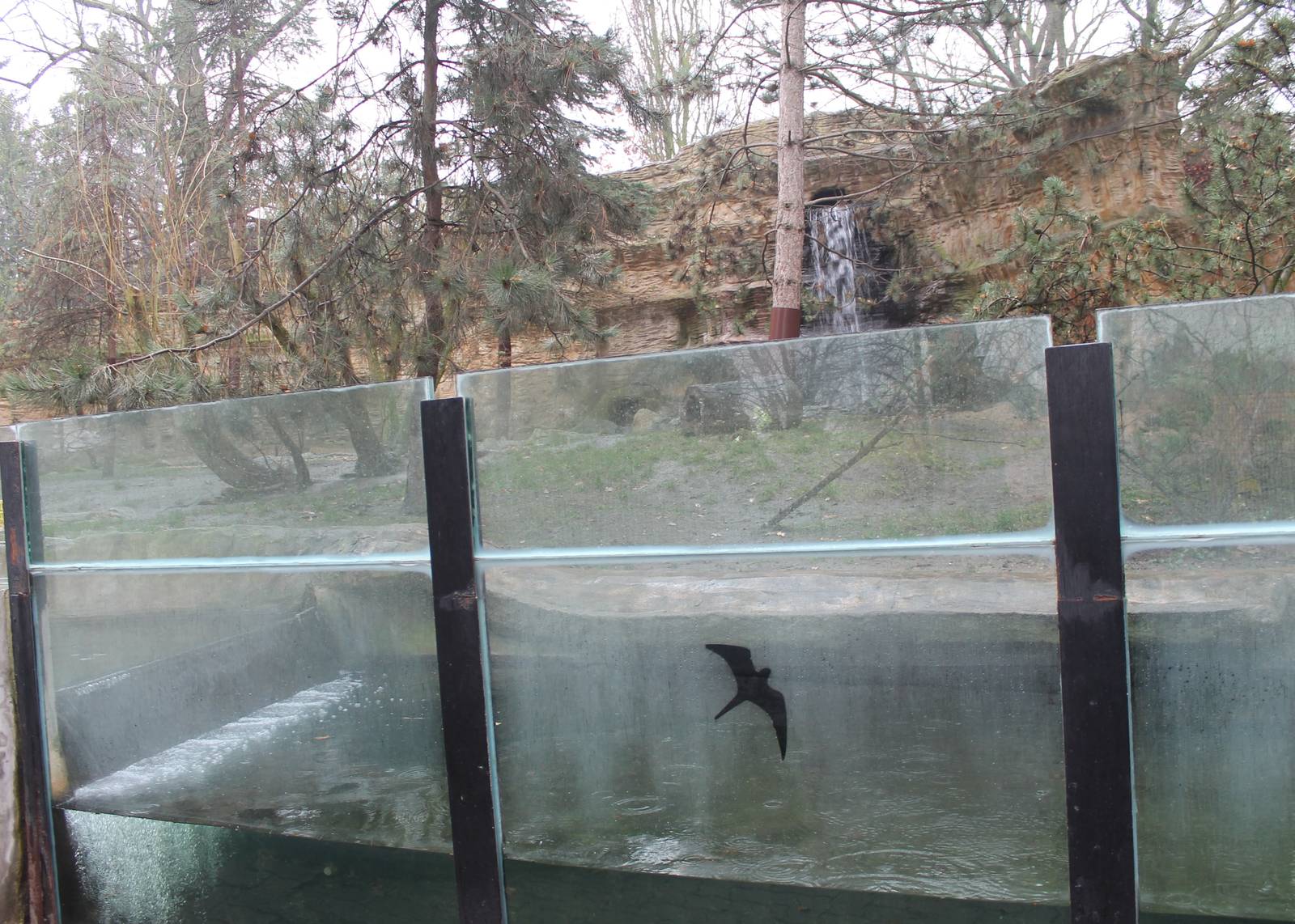 North American otter enclosure