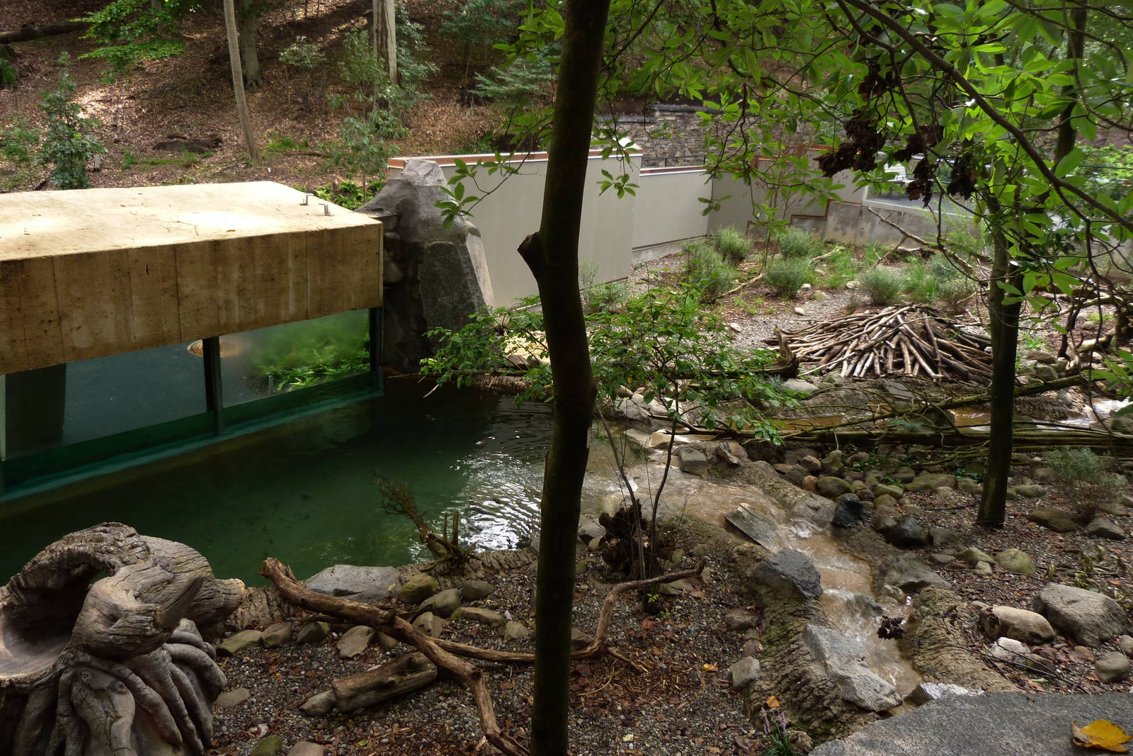 North American Otter Exhibit (American Trails