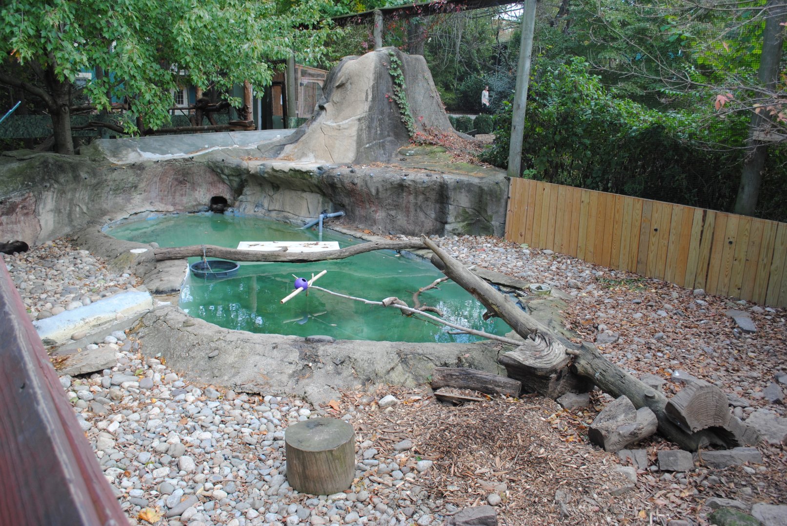 North American Otters' Exhibit