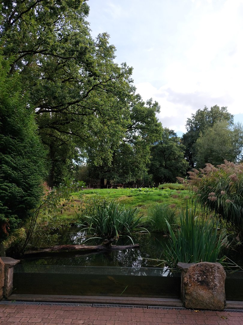 North American panorama