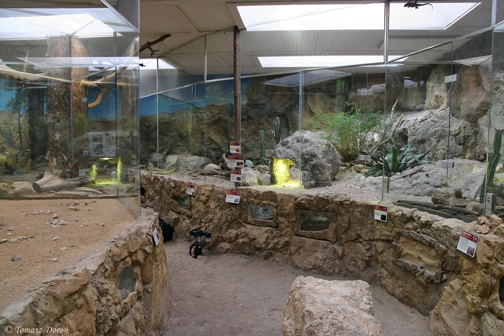 North American pavilion