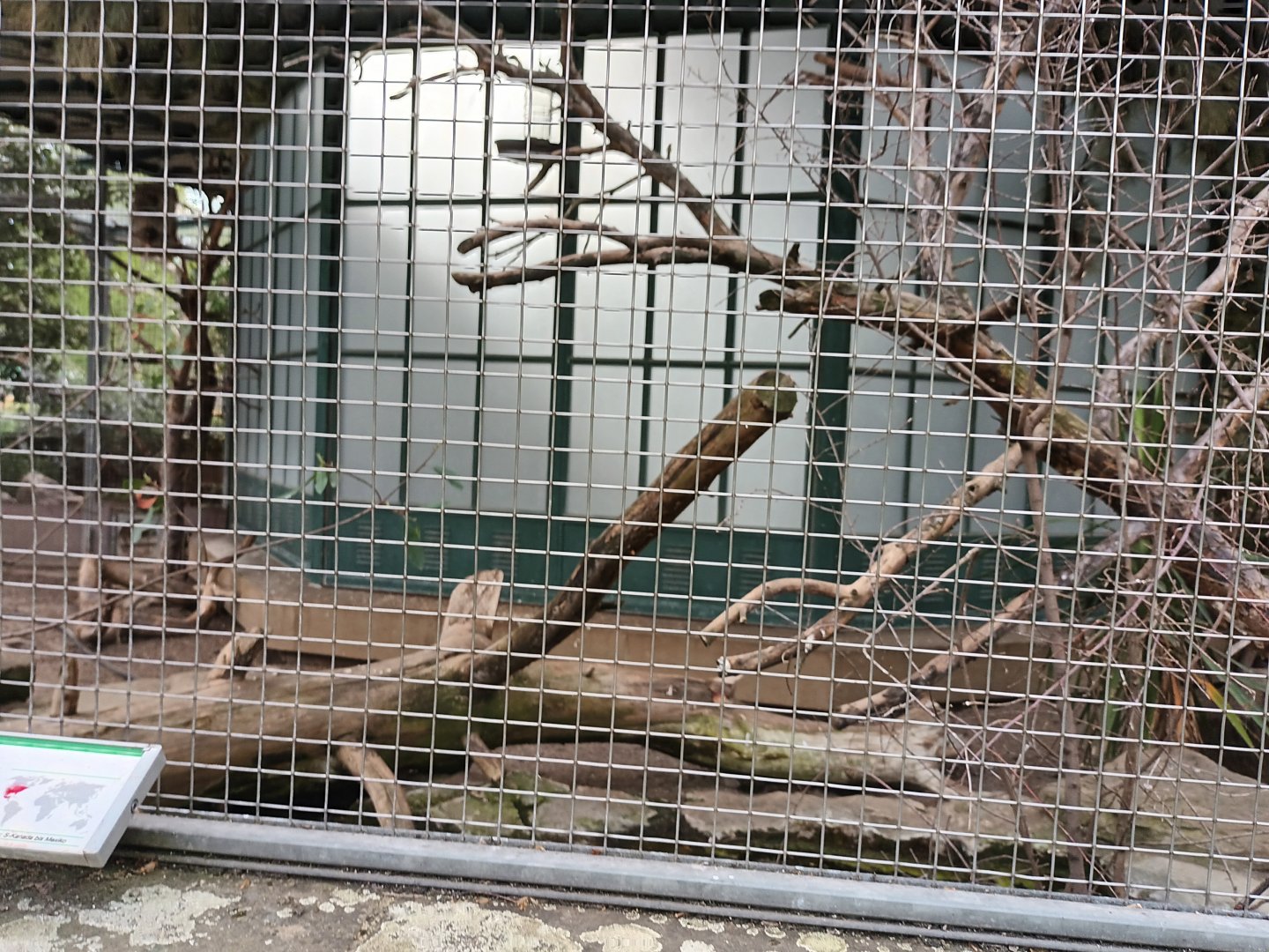 North American Pheasantary Aviary