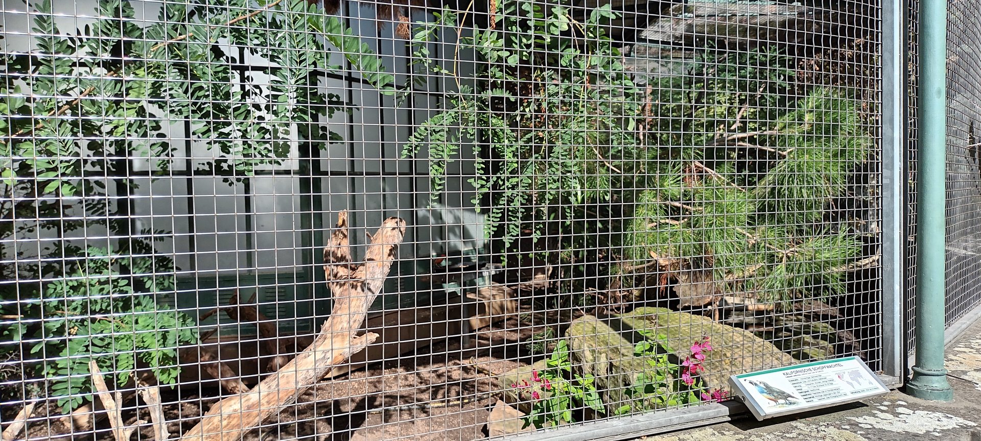 North American Pheasantary Aviary