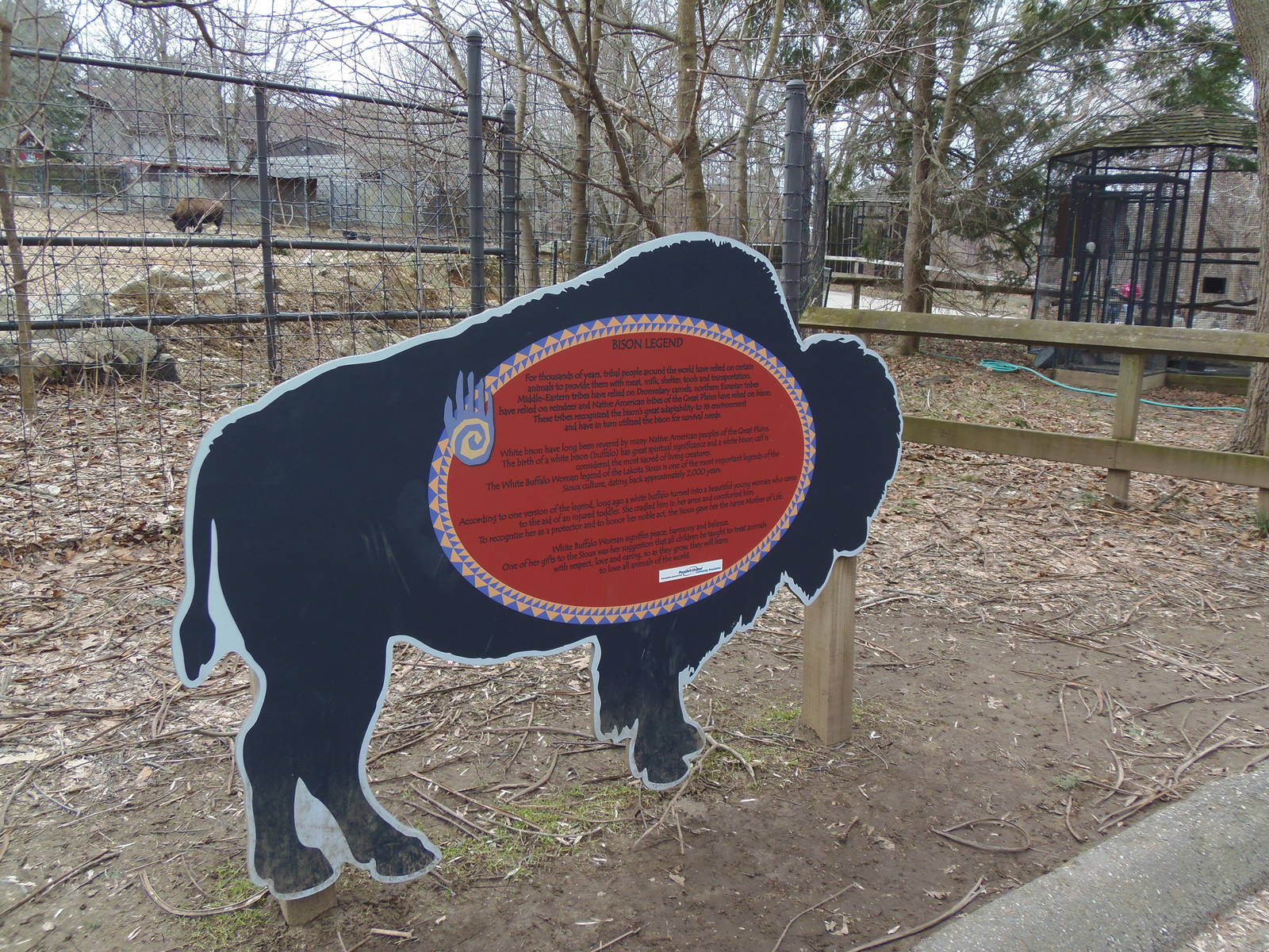 North American Plains- Bison Legend