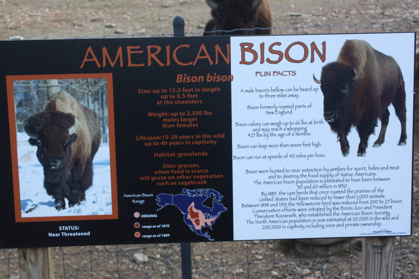 North American Plains- Bison Signage