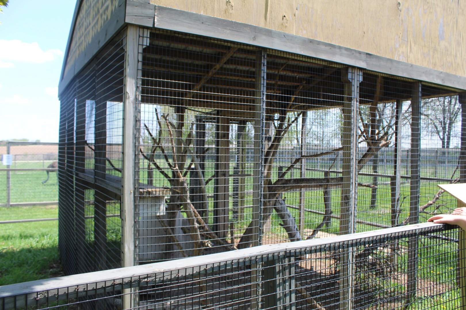 North American Porcipine Exhibit