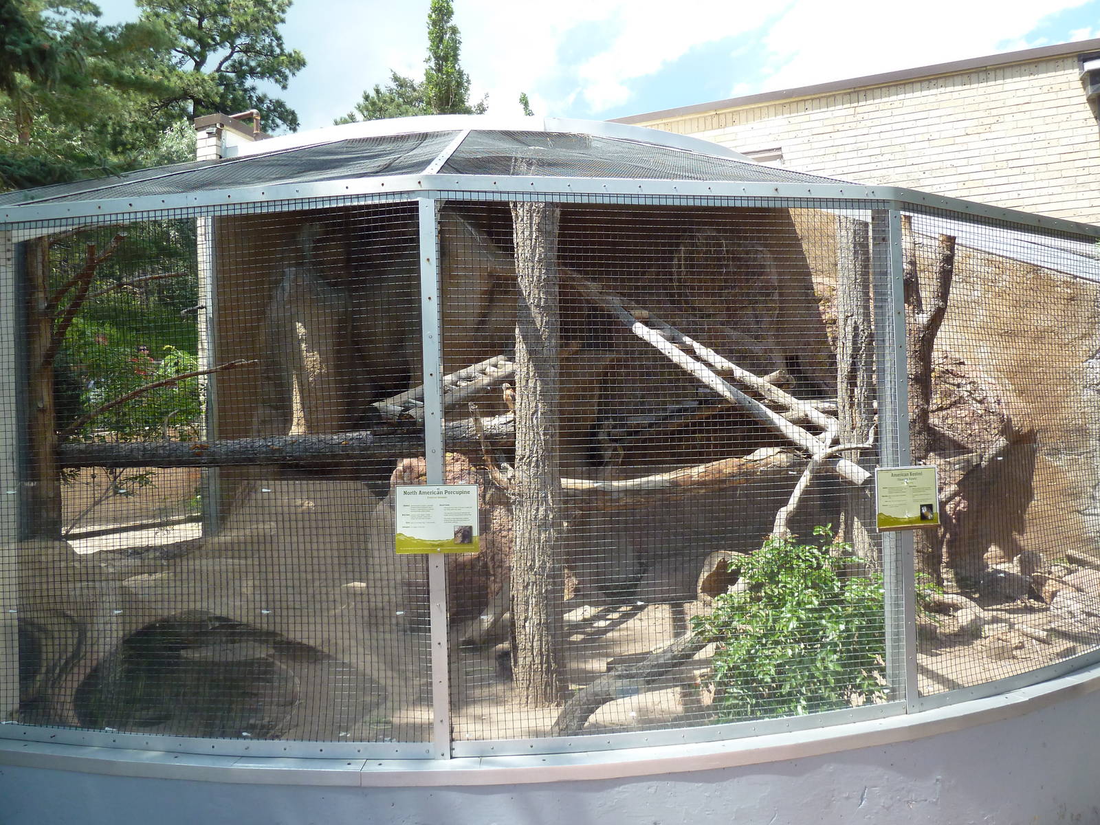 North American Porcupine/American Kestrel Exhibit