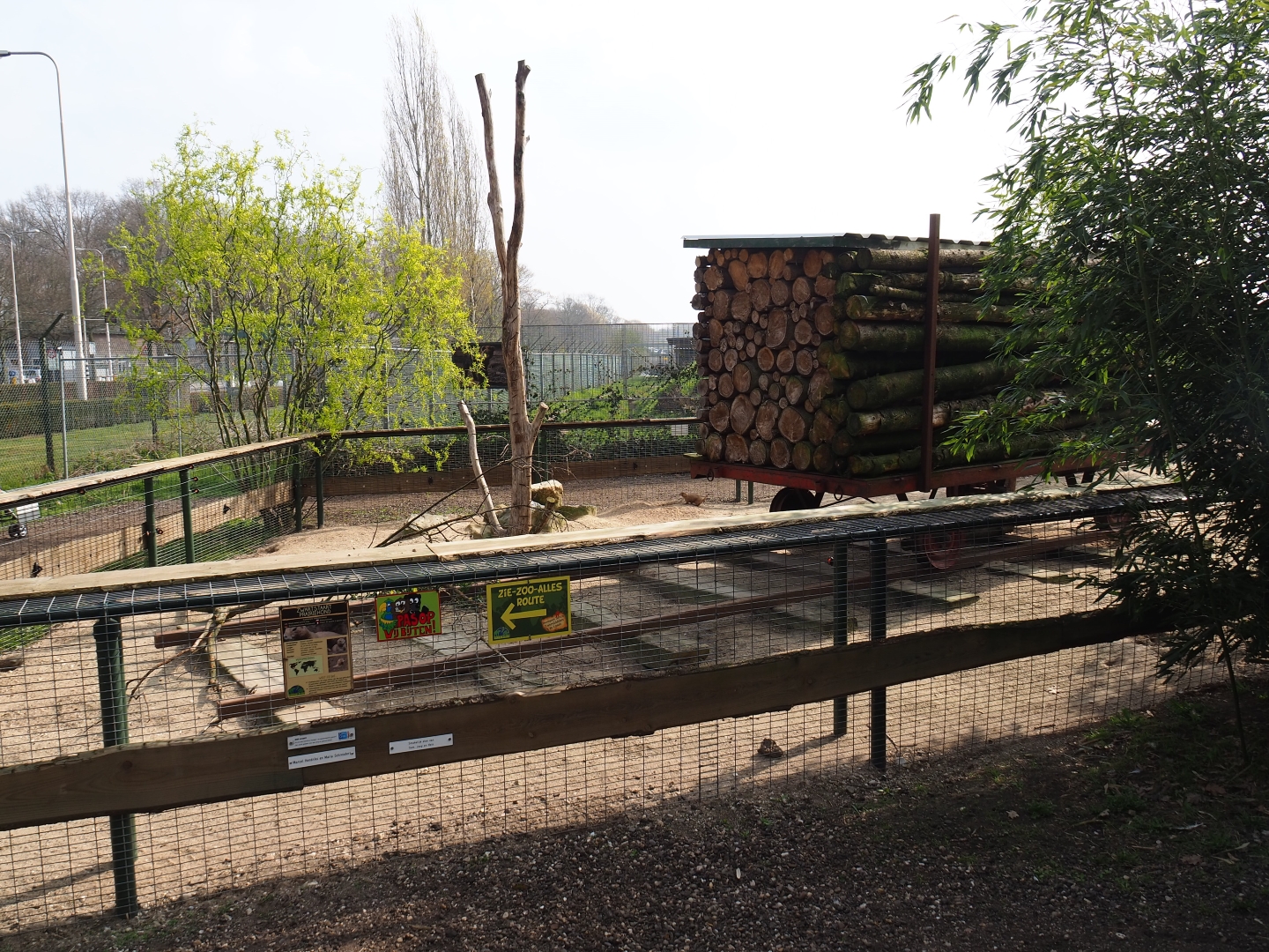 North American porcupine and black-tailed prairie dog exhibit, 2019-04-06