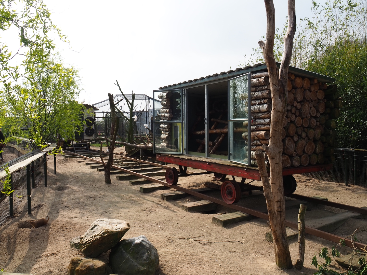 North American porcupine and black-tailed prairie dog exhibit, 2019-04-06