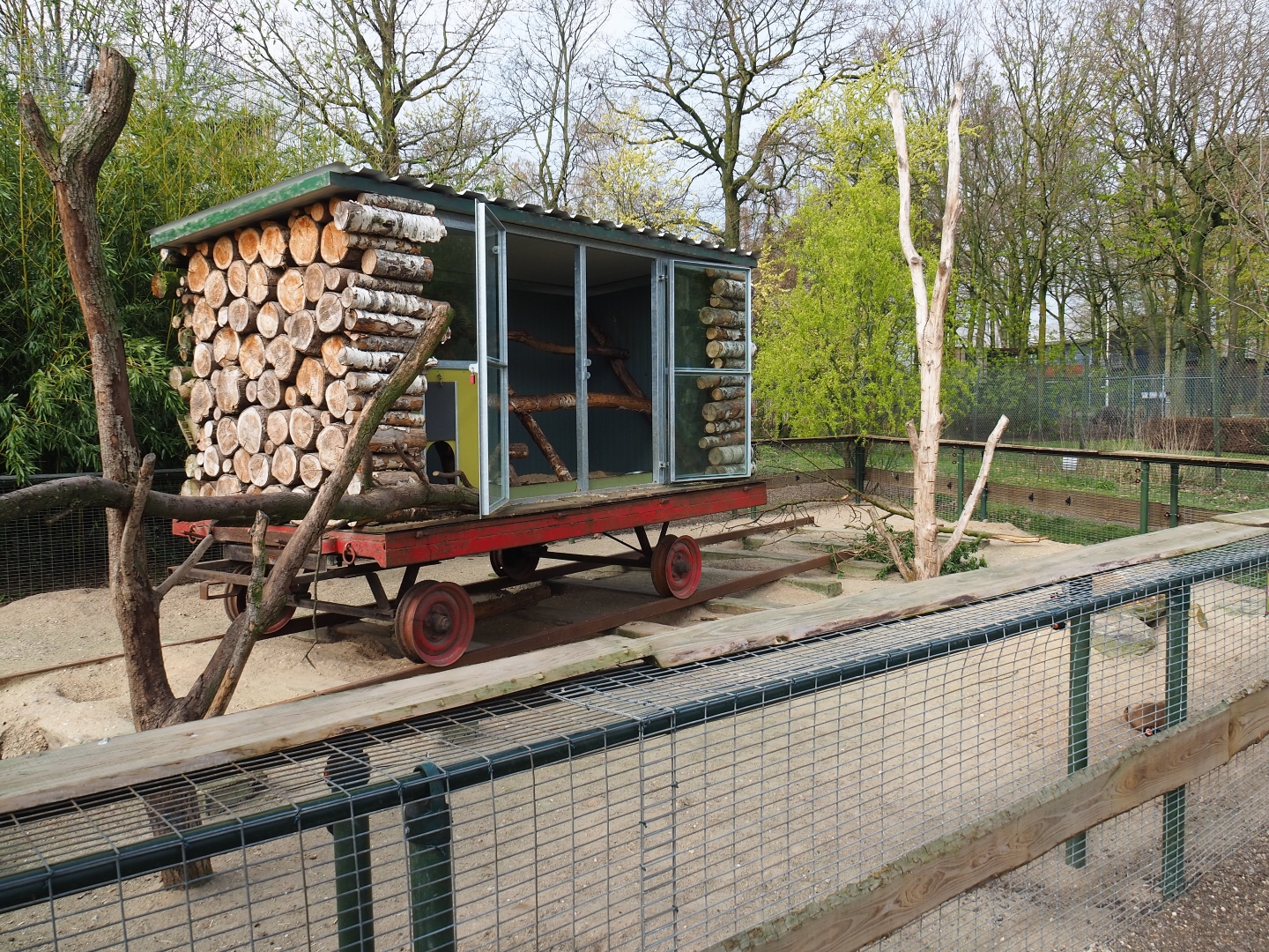North American porcupine and black-tailed prairie dog exhibit, 2019-04-06