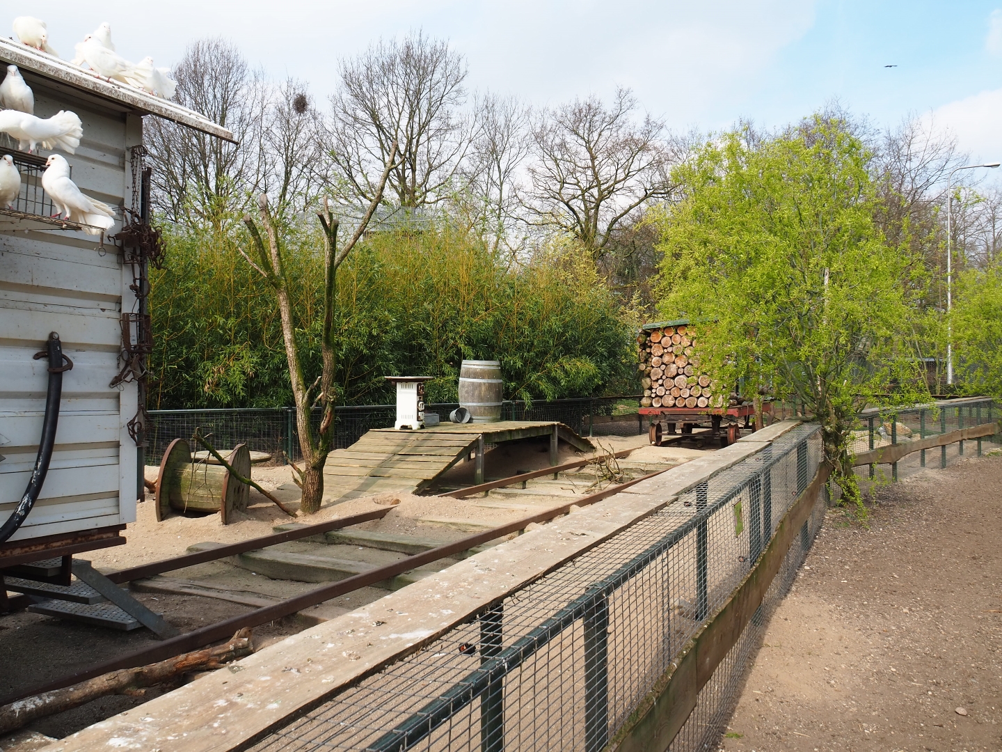 North American porcupine and black-tailed prairie dog exhibit, 2019-04-06