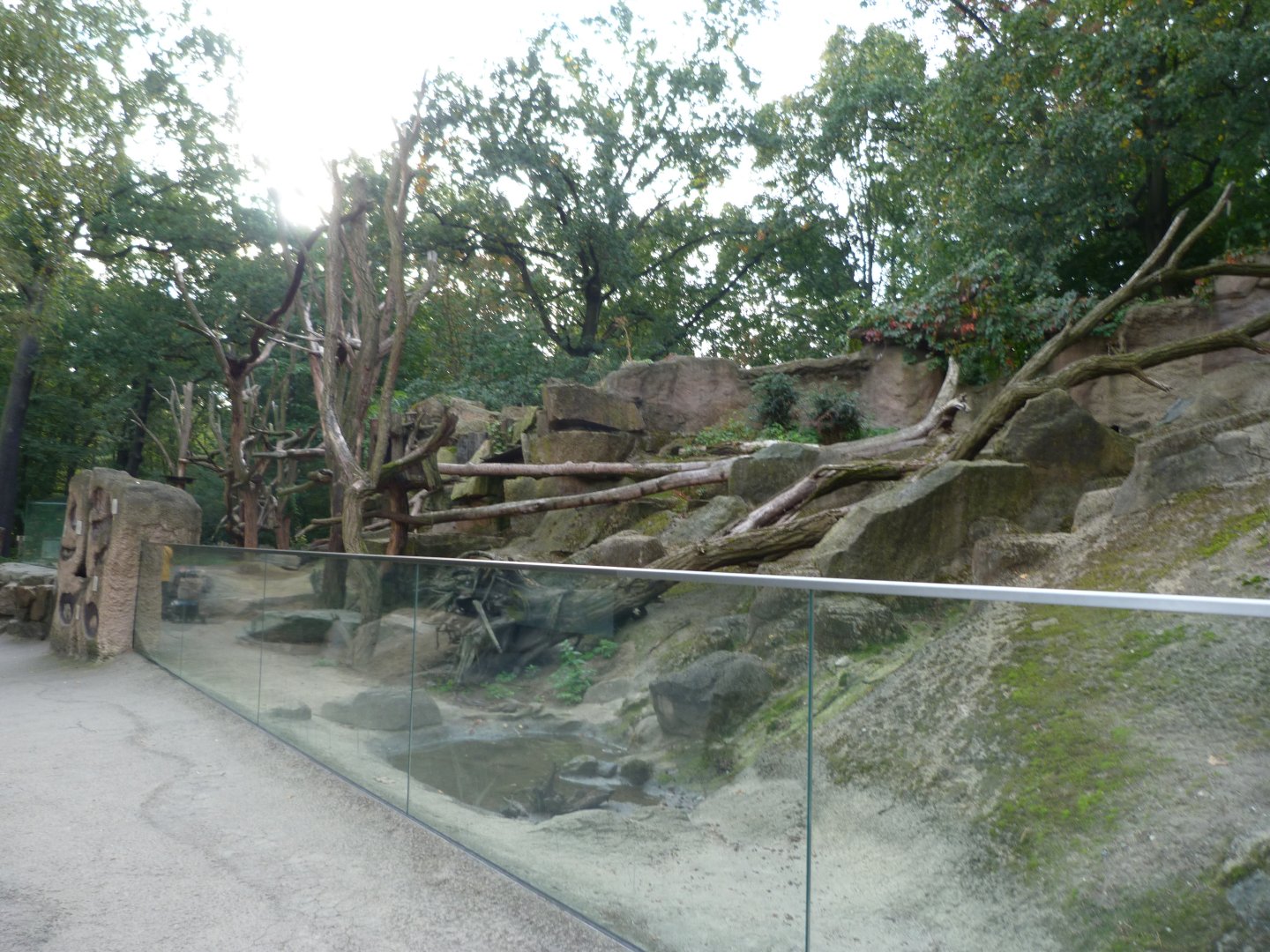 North American porcupine and Black-tailed prairie dog exhibit -Tierpark Berlin (2024)