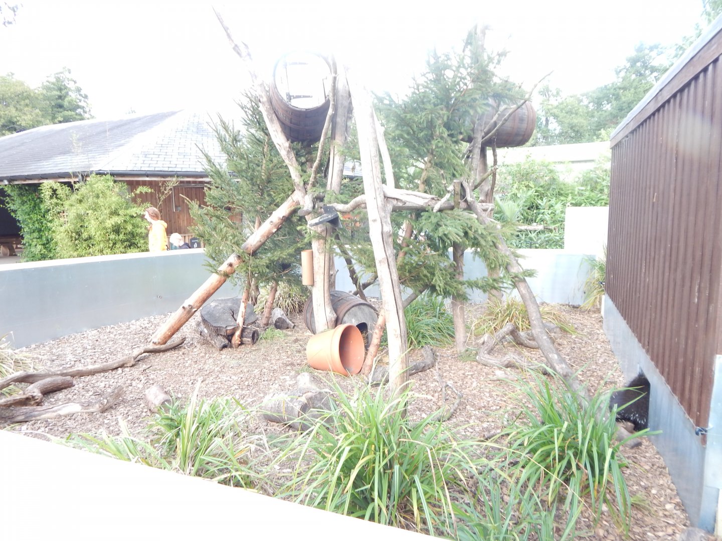 North American porcupine and Striped skunk exhibit 110921