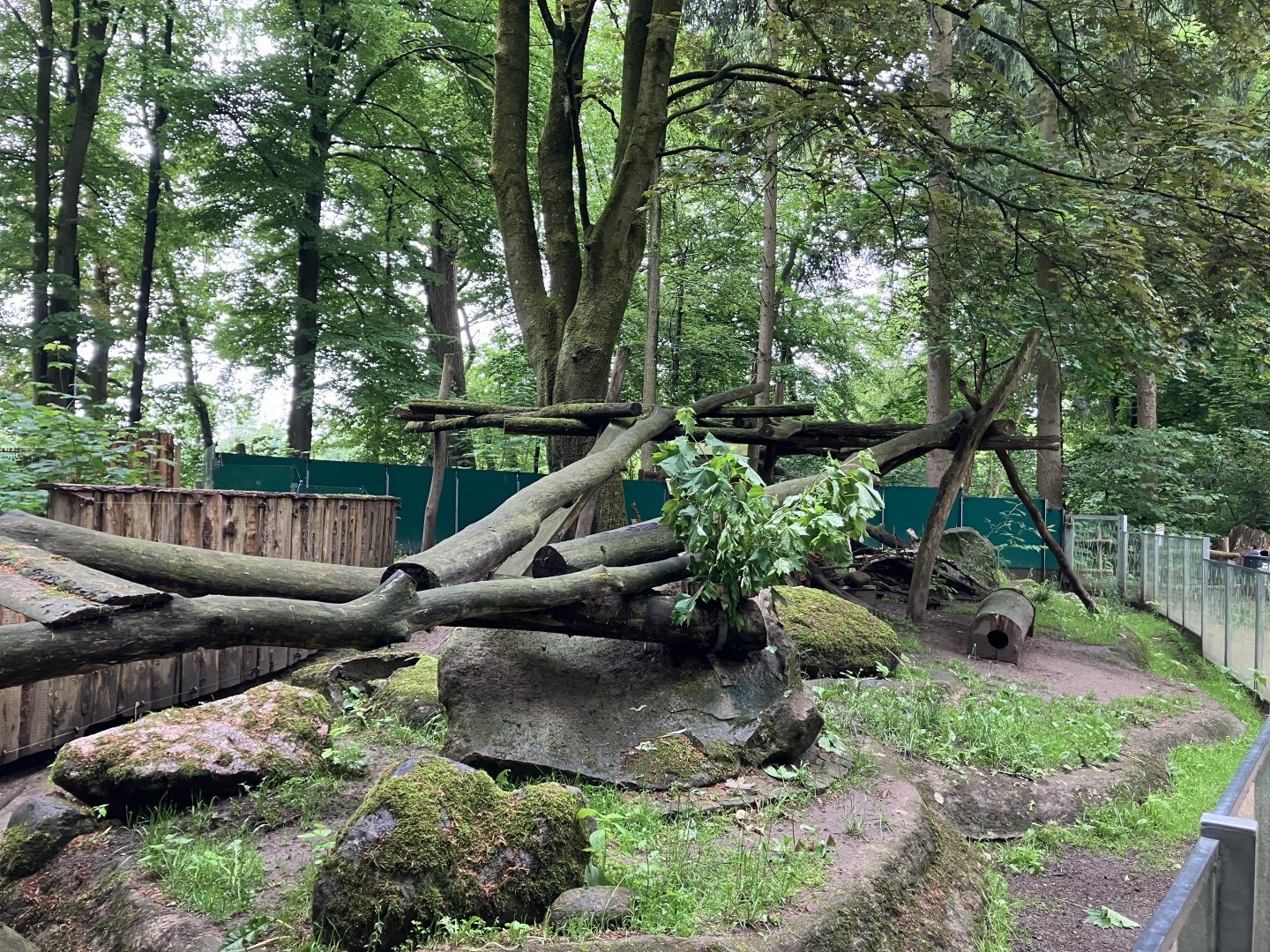 North American porcupine and Striped skunk exhibit