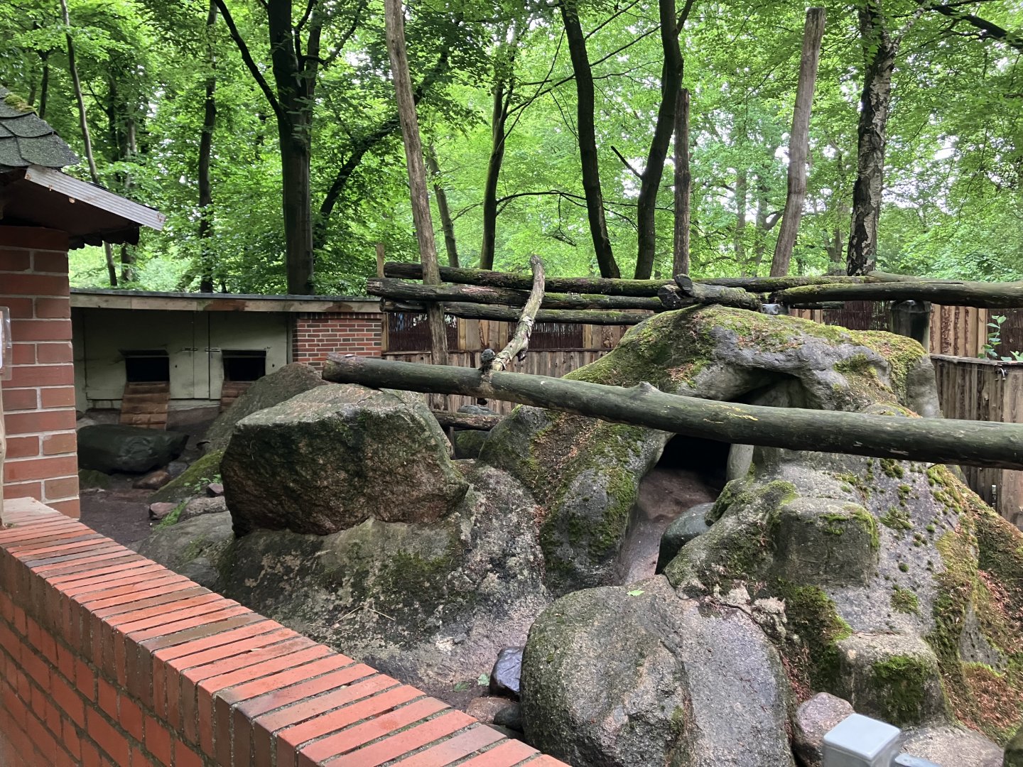 North American porcupine and Striped skunk exhibit