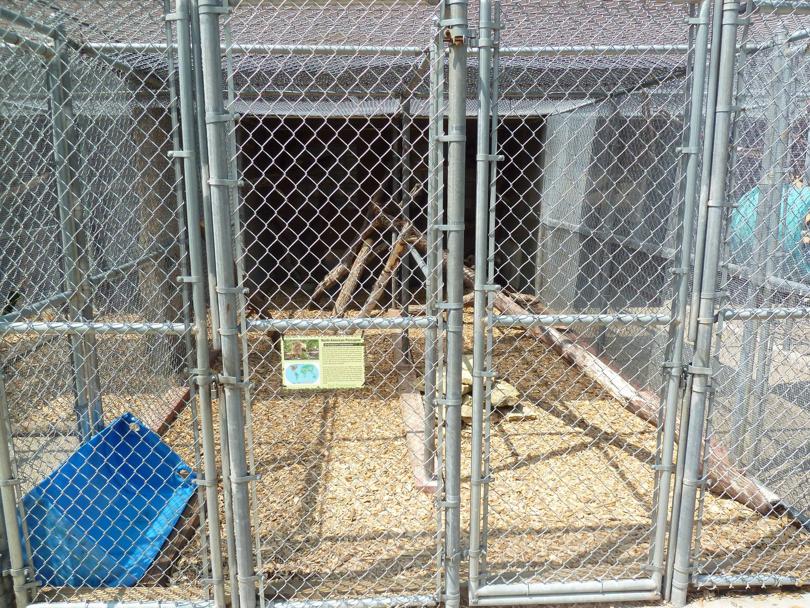 North American Porcupine Cage