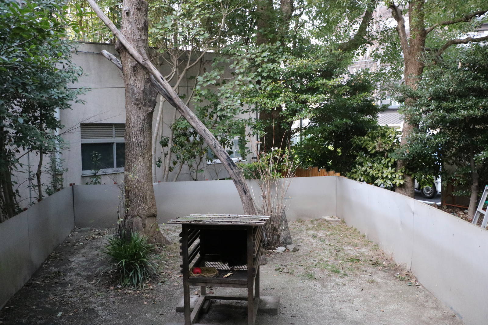 North American porcupine enclosure, February 2016