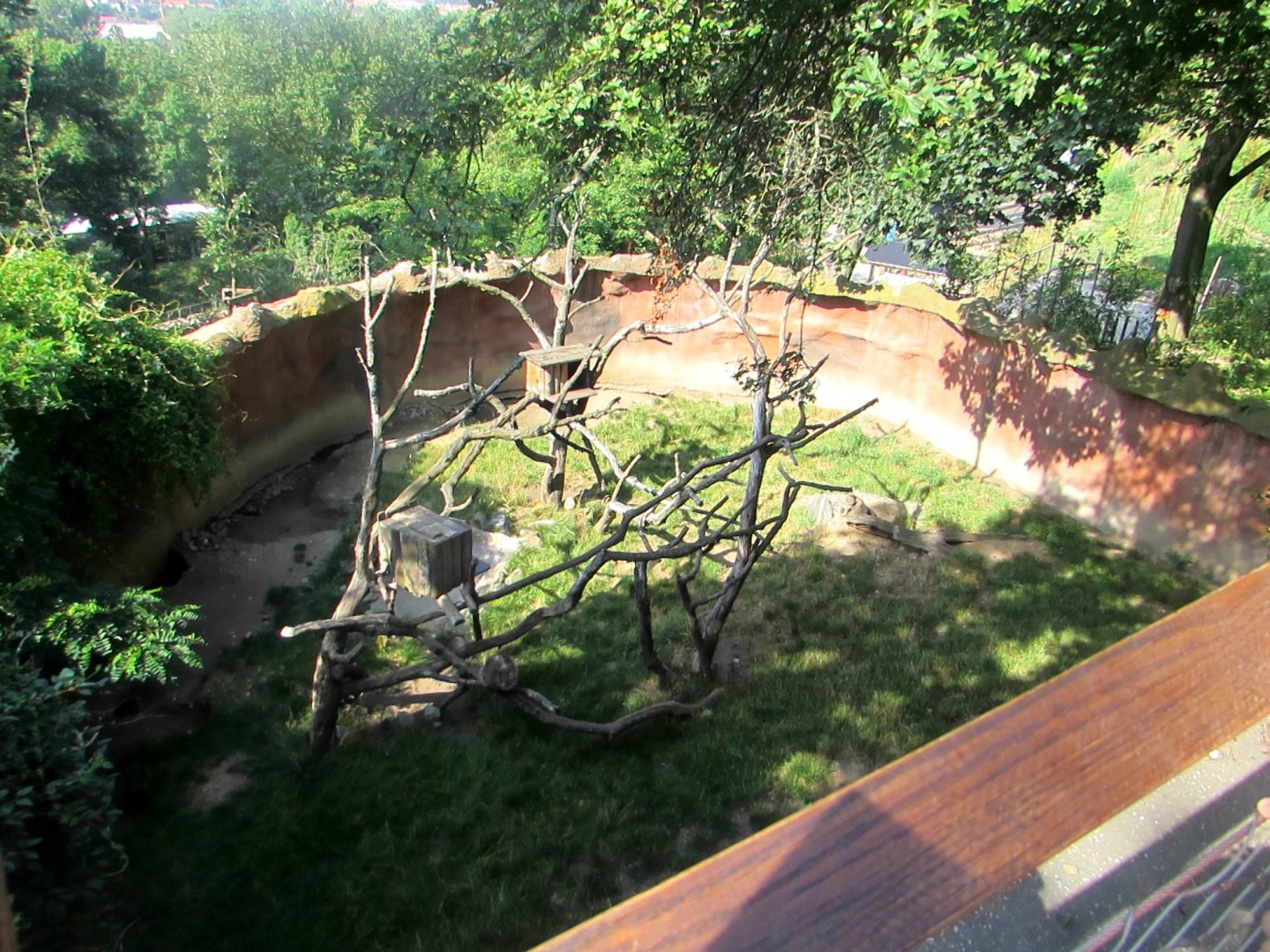 North American Porcupine enclosure - July/2017