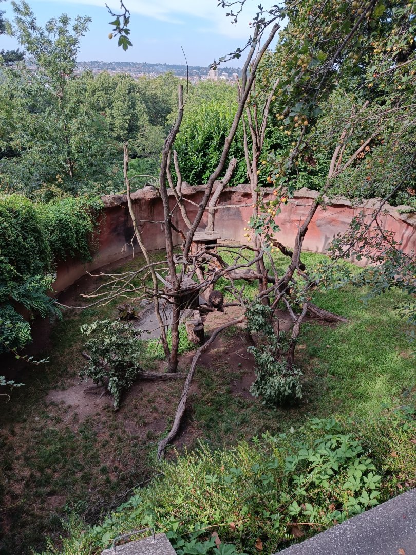North American Porcupine enclosure - Rock Outcrop