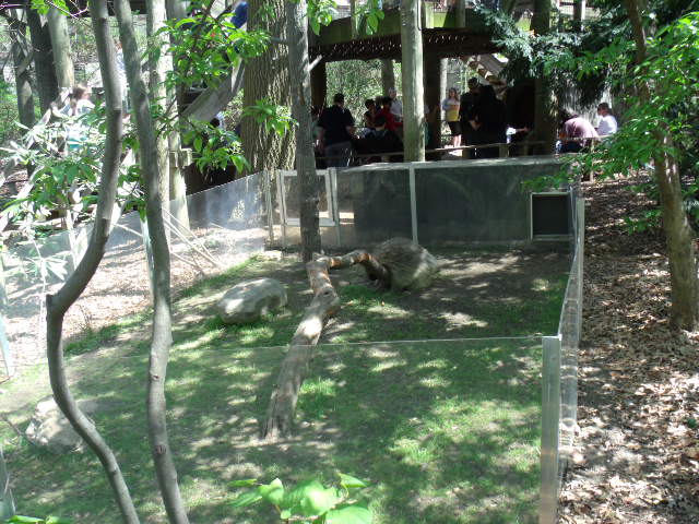 North American Porcupine Enclosure