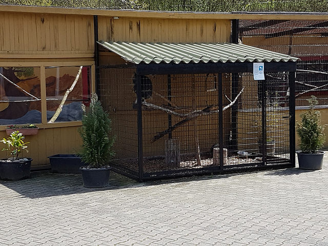 North american porcupine enclosure