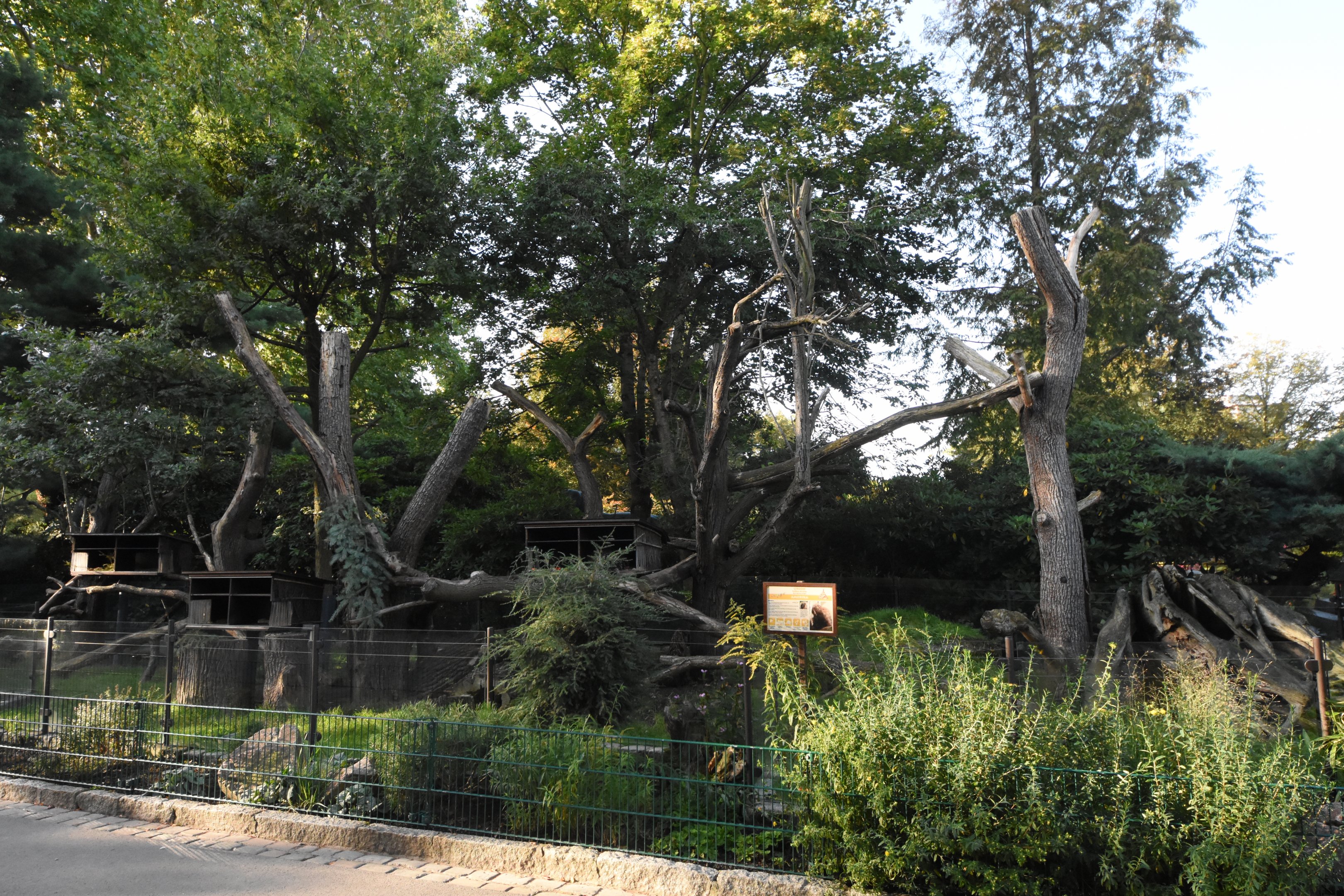North American porcupine enclosure