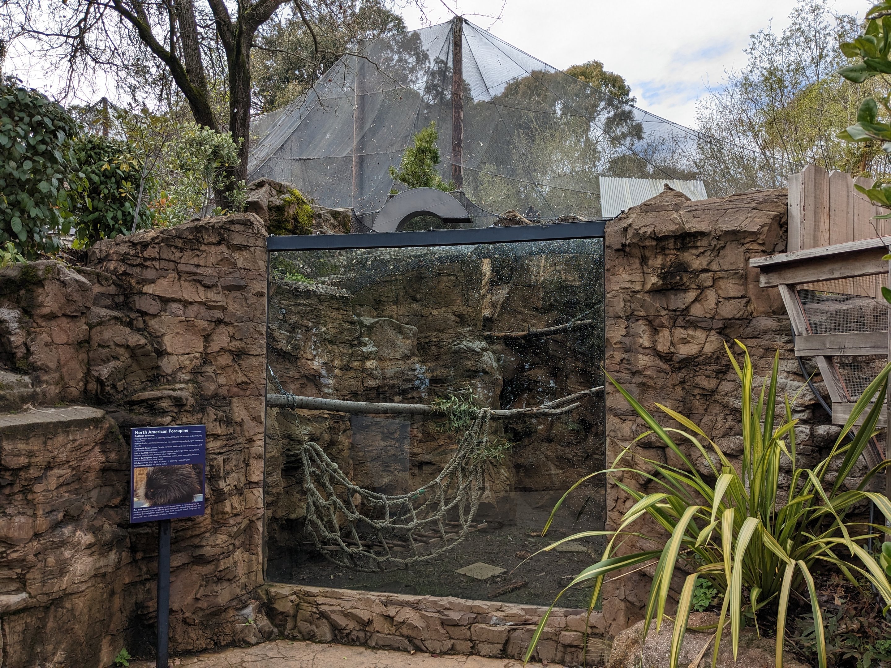 North American porcupine enclosure