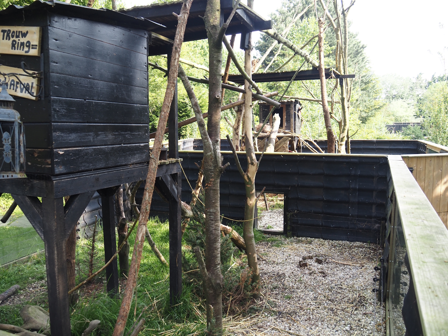 North American porcupine exhibit, 2024-05-11