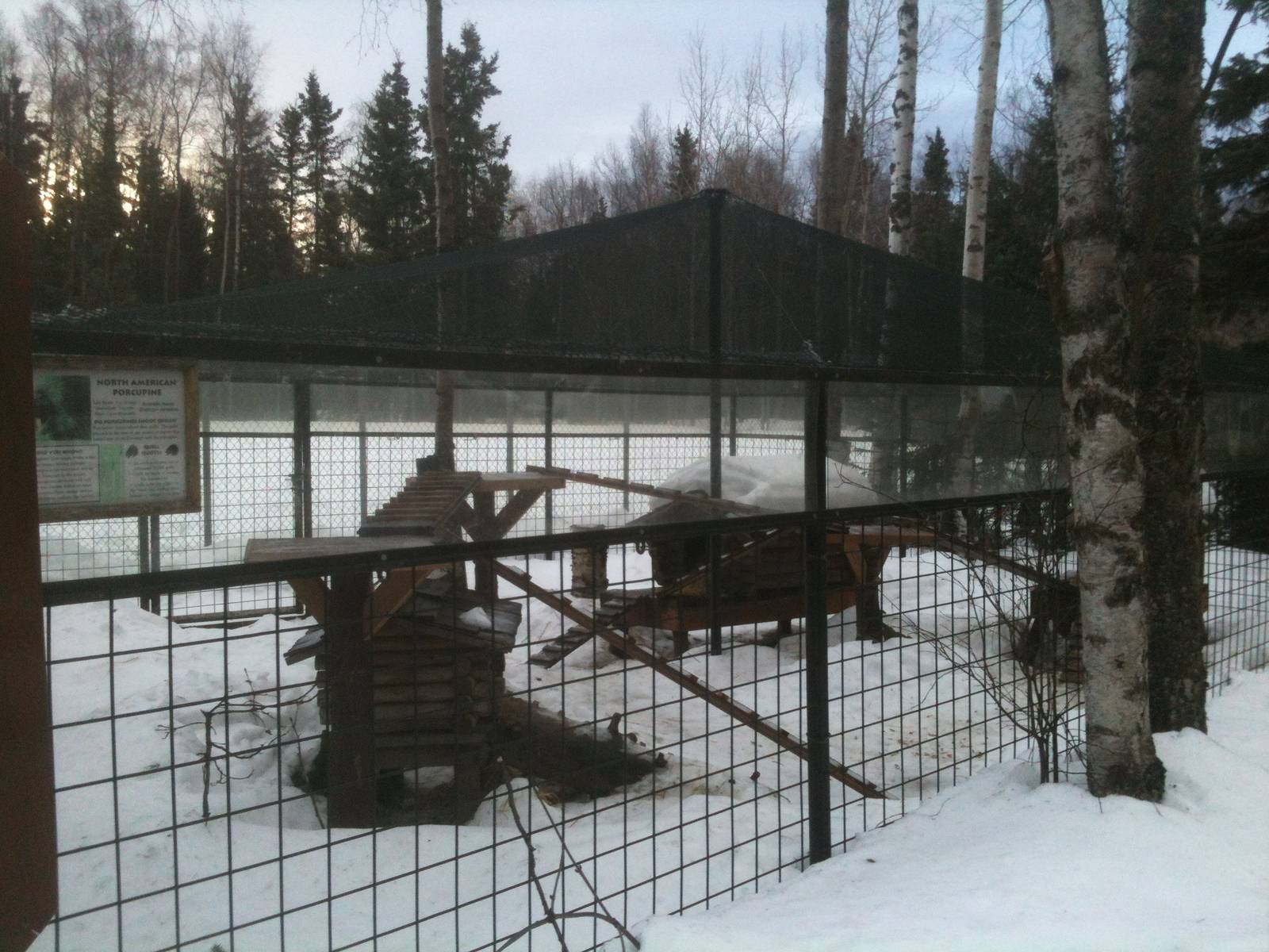 North American Porcupine Exhibit (Moose Yard beyond)