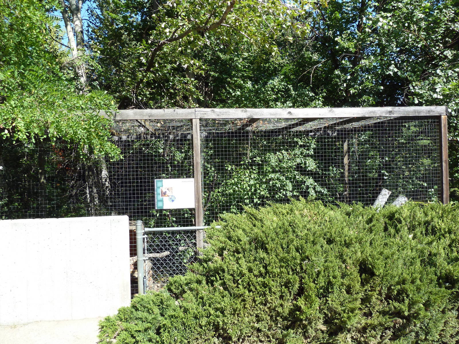 North American Porcupine Exhibit