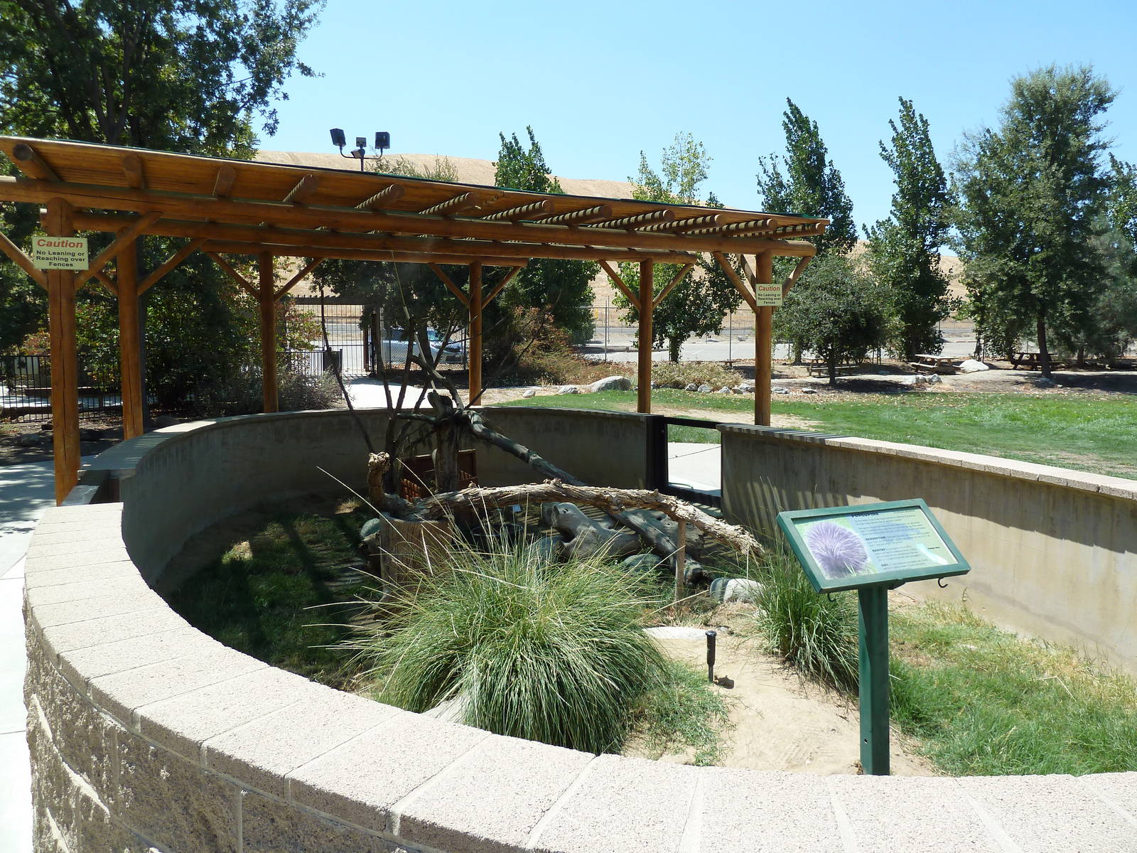 North American Porcupine Exhibit