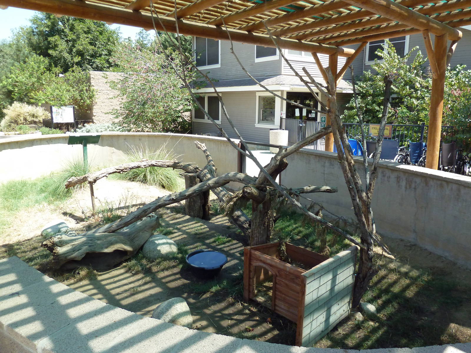 North American Porcupine Exhibit