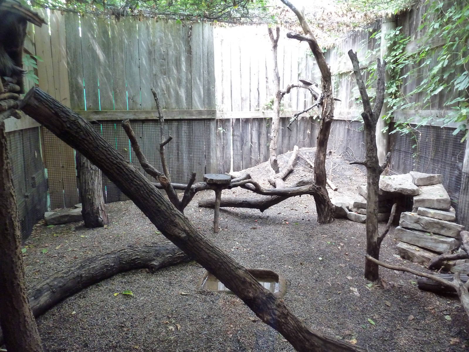 North American Porcupine Exhibit