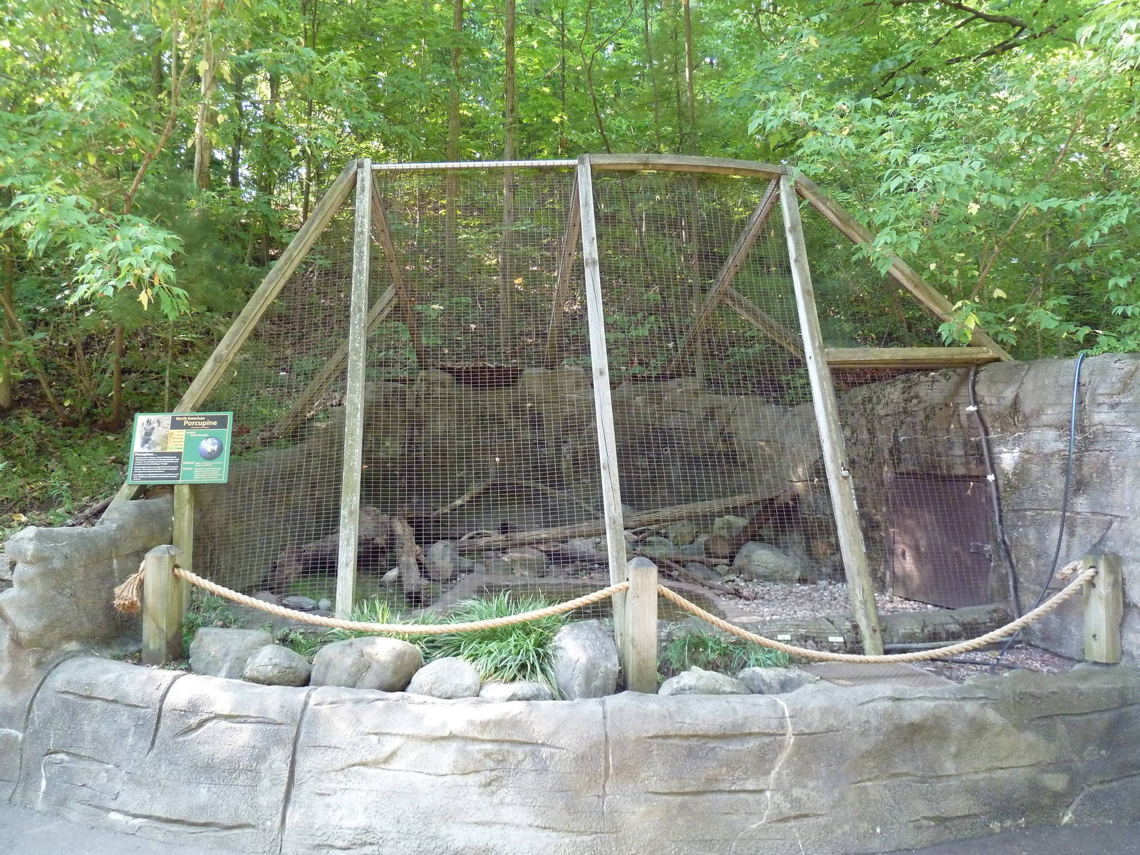 North American Porcupine Exhibit